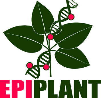 Epiplant_smaller.jpg
